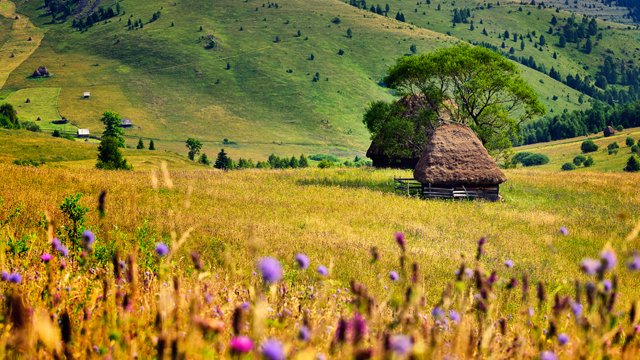 Відпочинок в Україні влітку 2020: куди їхати і що робити