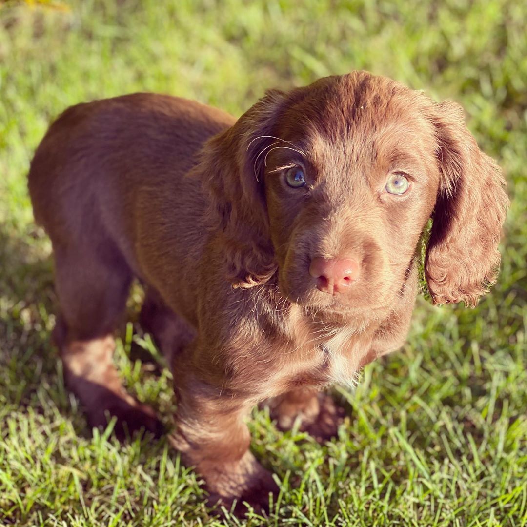 Джеймс Миддлтон_2