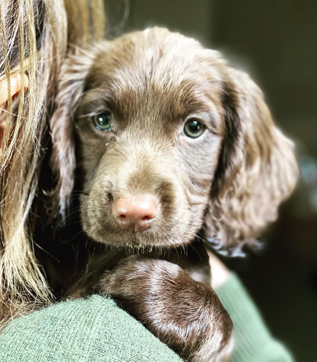 Джеймс Миддлтон_1