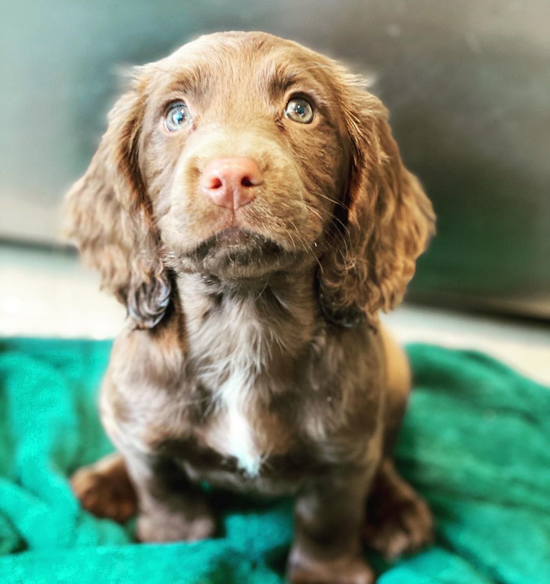 Джеймс Миддлтон_3